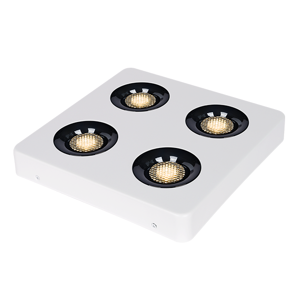 ĐÈN ỐP NỔI TICOLIGHTS